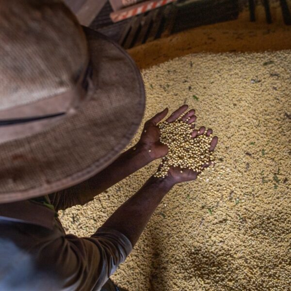 Goiás tem superávit de US$ 7,3 bi na balança comercial