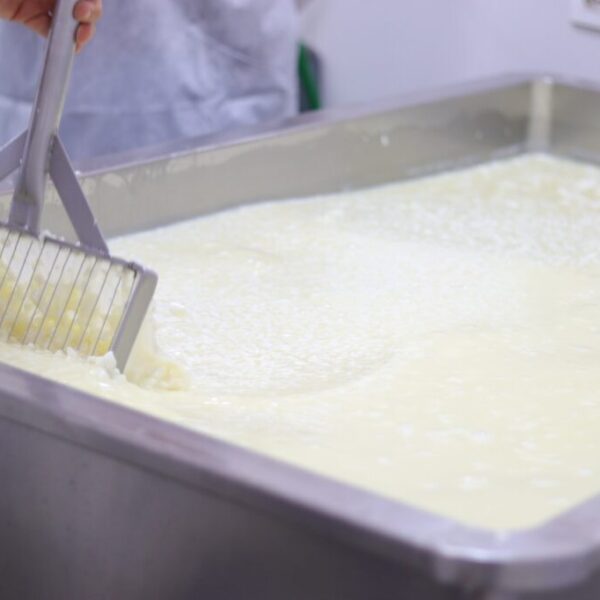 Governo de Goiás publica novo edital para melhoria de agroindústrias de pequeno porte