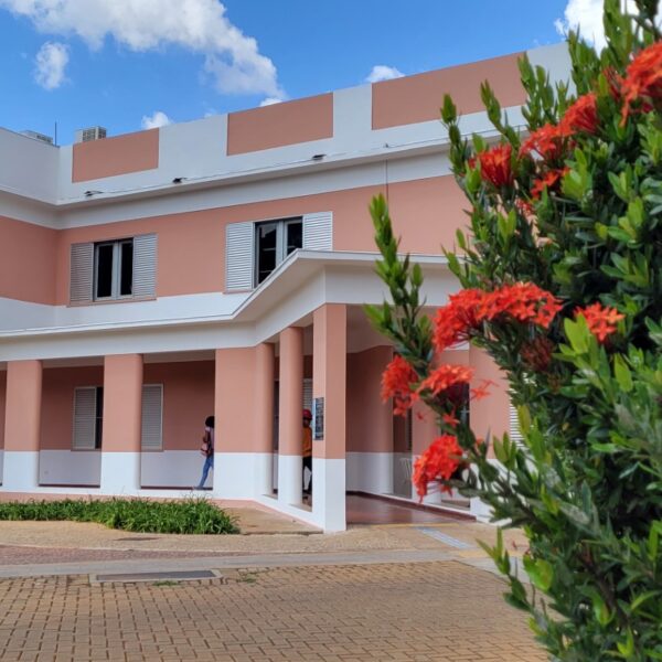 Secult Goiás publica chamamento de últimos suplentes da Política Nacional Aldir Blanc 2024 e 2025