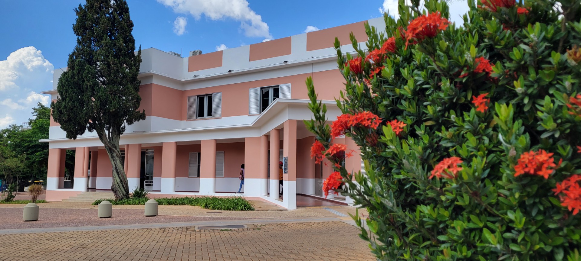 Secult Goiás publica chamamento de últimos suplentes da Política Nacional Aldir Blanc 2024 e 2025