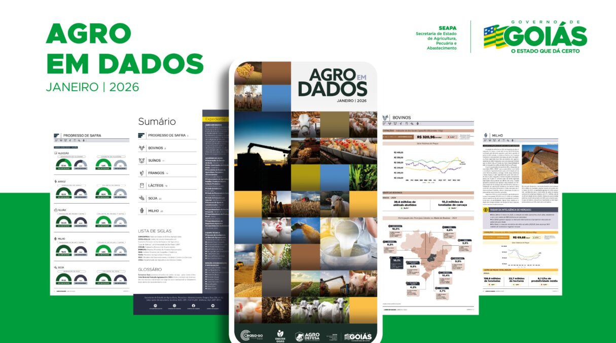 Capa da publicação Agro em Dados