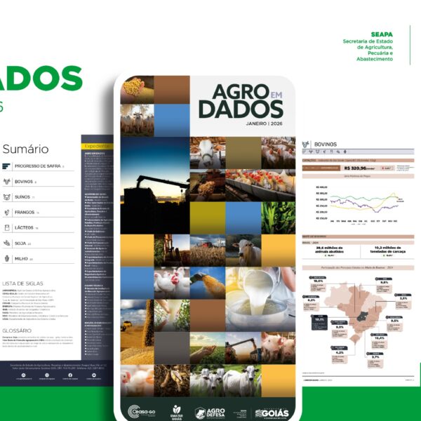 Capa da publicação Agro em Dados