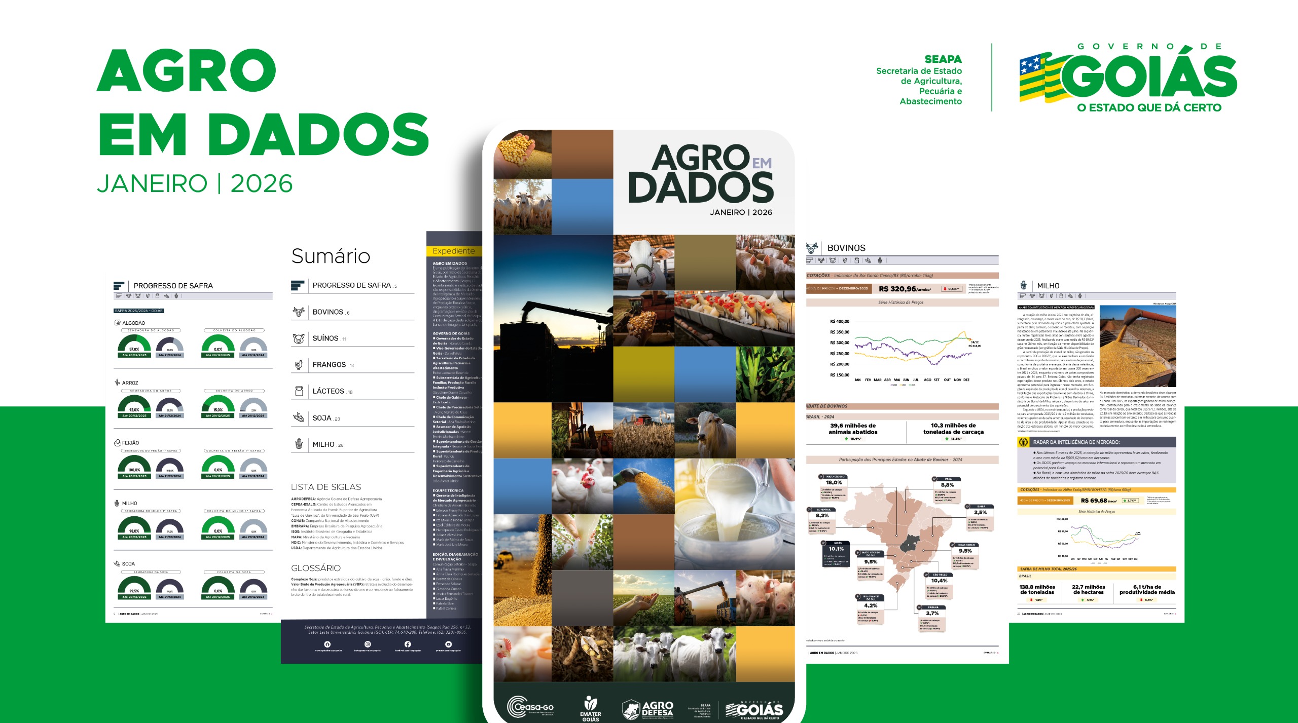 Capa da publicação Agro em Dados