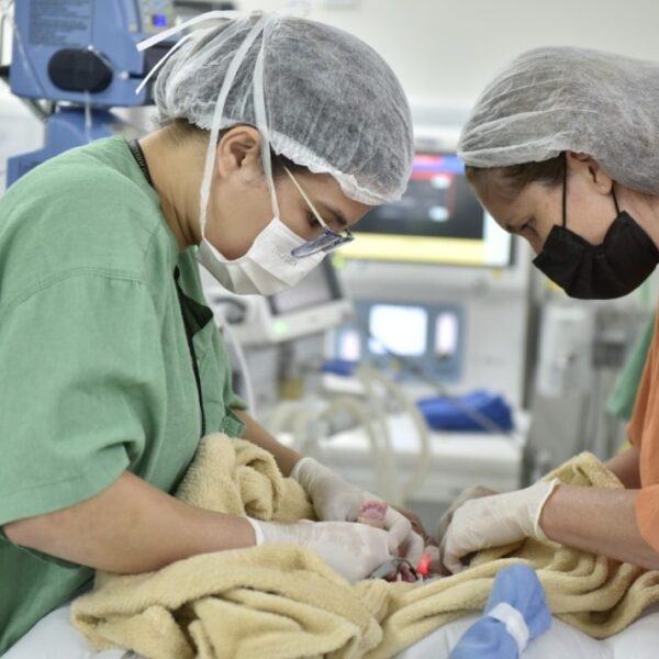 Goiás avança na oferta de cirurgias cardíacas para crianças