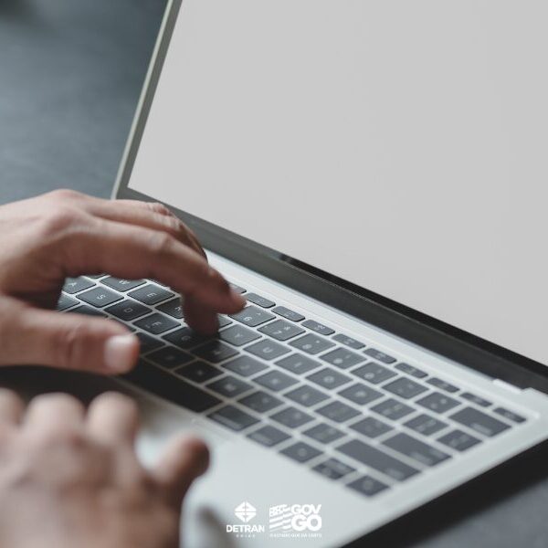 Detran Portal Online