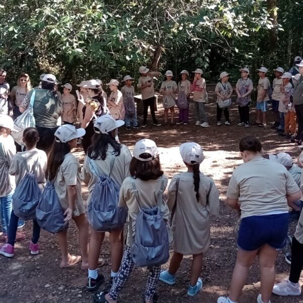 Aulas de educação ambiental da Semad