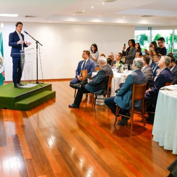 Goiás anuncia plano para setor florestal e atrair novas indústrias