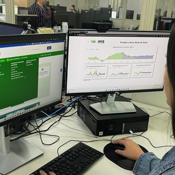 IMB lidera ranking nacional de projeções da política fiscal