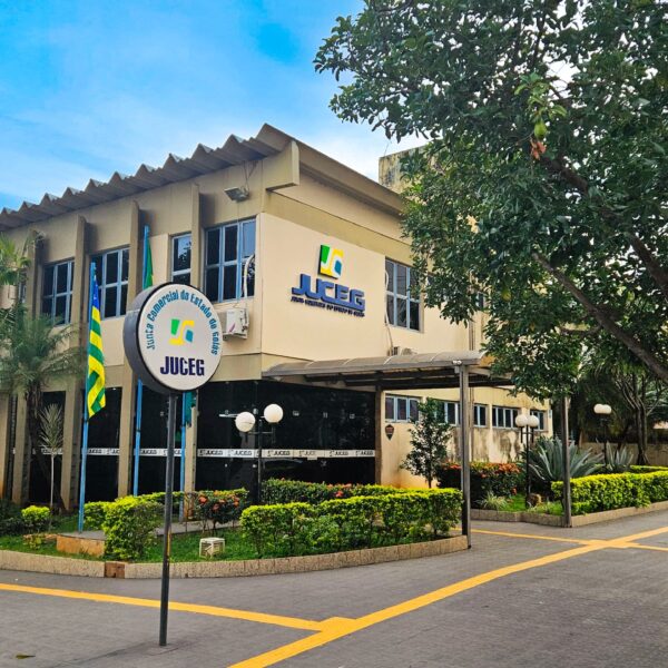 Goiás fecha 2025 com abertura de mais de 178 mil novas empresas