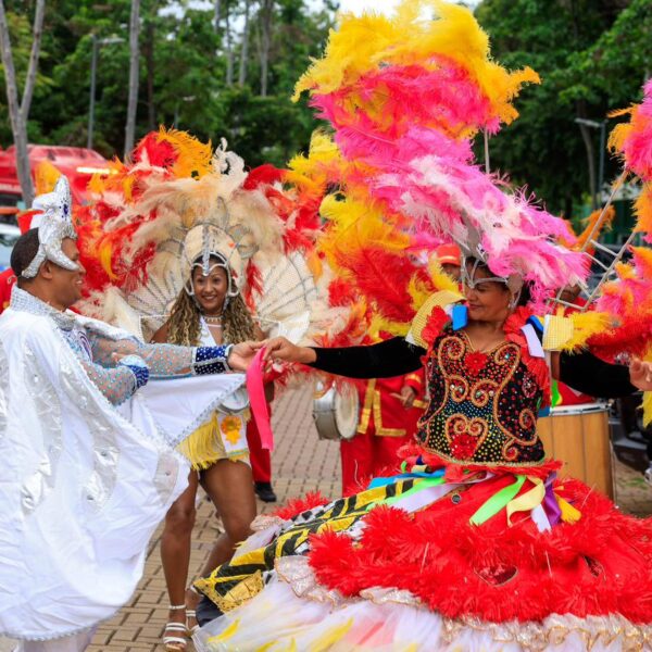 Lançado Folia Goiás 2026