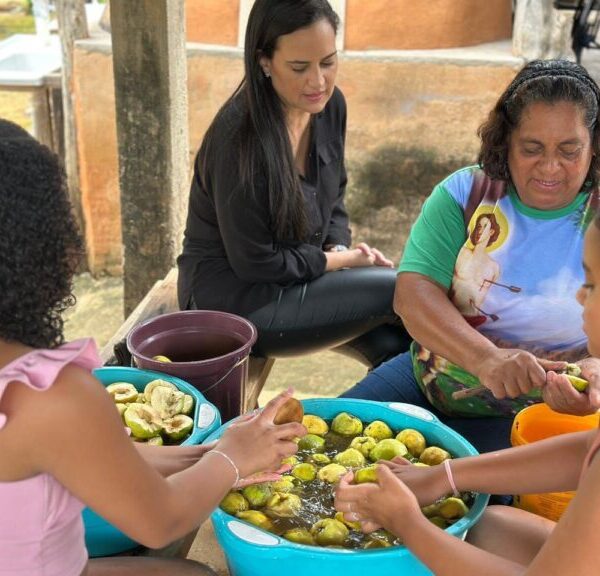 Cidade Ocidental celebra colheita do marmelo