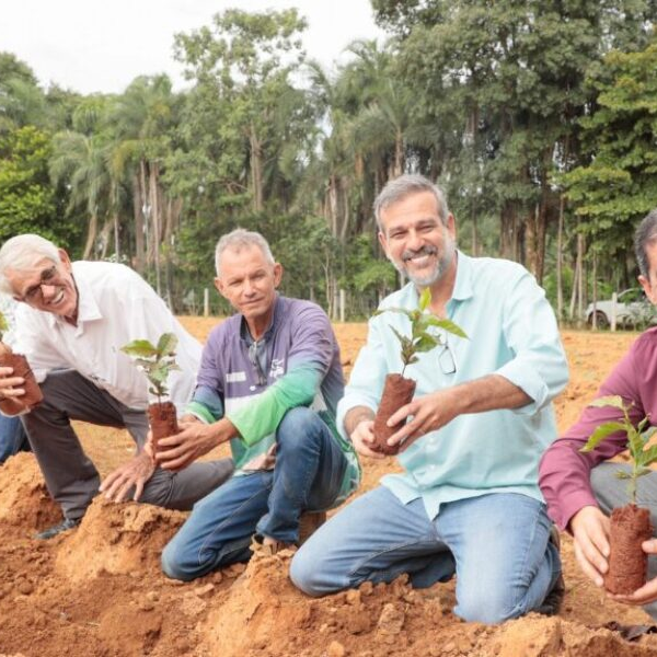 Emater aposta no café e fortalece cultivo em Goianésia