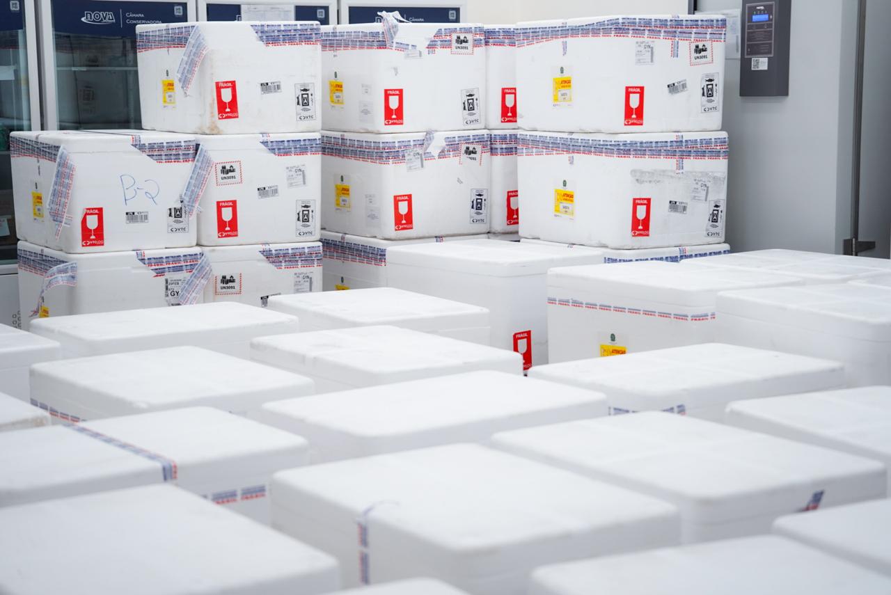 Goiás recebe nova vacina contra a dengue do Instituto Butantan