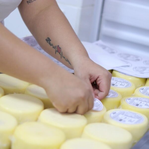 Inscrições para projeto de melhoria de agroindústrias terminam neste sábado - produção de queijos